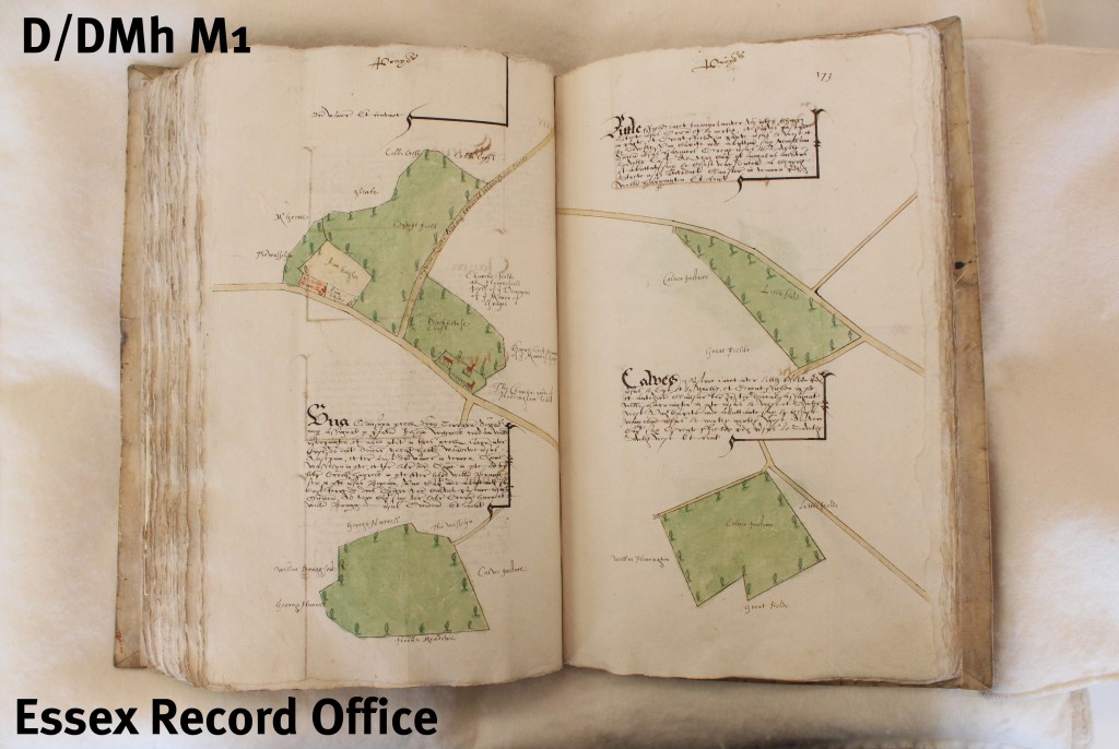 A survey of manor and lordship of Castle Hedingham by Israel Amyce, 1592, using a combination of written descriptions and  maps (D/DMh M1) 