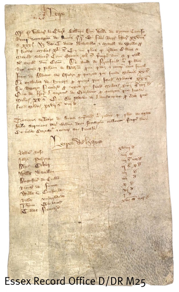 Scutage roll from Layer-de-la-Haye, 1240-1360 (D/DR M25)