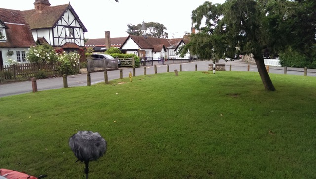 Photograph of Stisted village green with microphone in the foreground
