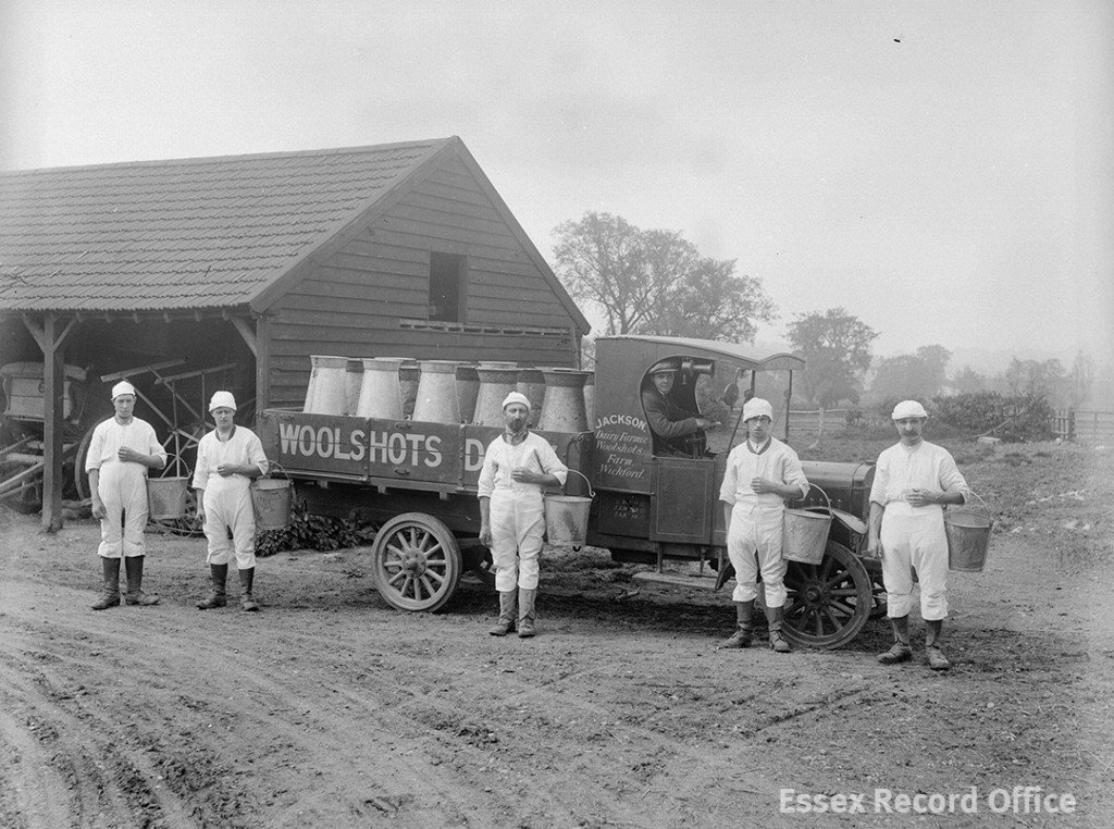 Jackson’s dairy farm at Wickford, early 1920s, when new hygiene rules were having an effect on cowmen’s clothing. Essex became the first county to hold a clean milk competition in 1920. (D/F 269/1/4492)
