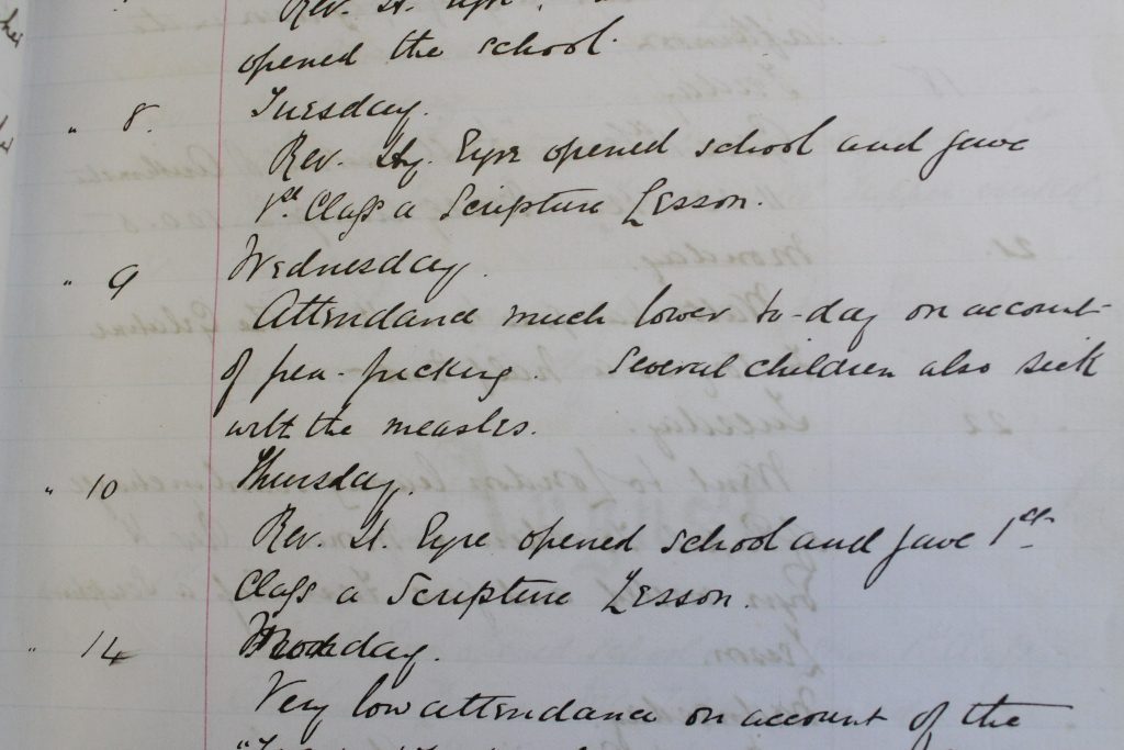 Note about students absent pea-picking from Coggeshall National School log book