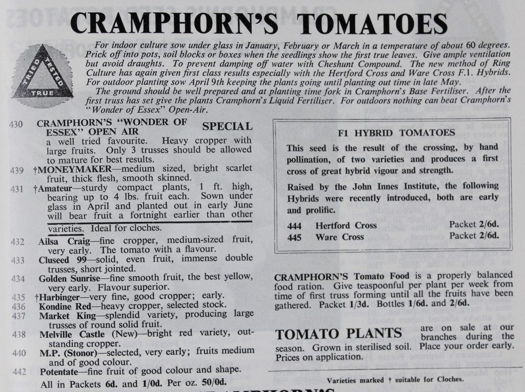 Cramphorn’s tomatoes as sold in 1962 with Golden Sunrise and Harbinger listed. (ERO, A10506 Box 7)